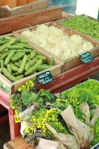 10301548_695074850560246_882399941789082581_n